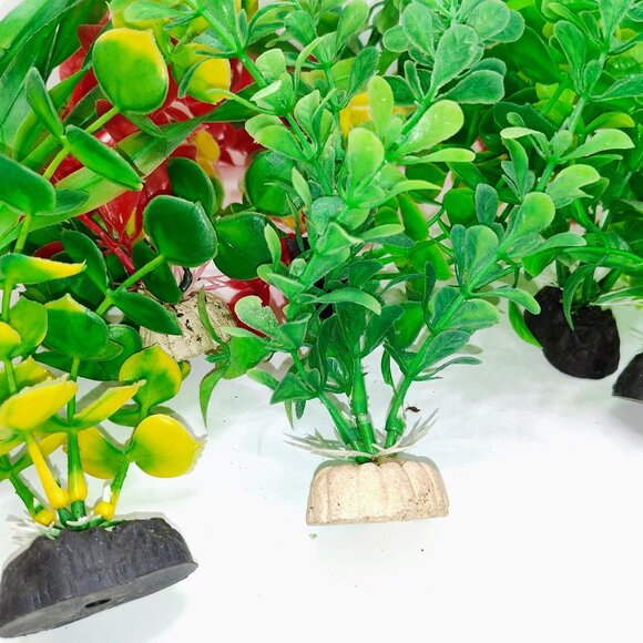 An bunch of used aqaurium plants - Picture 4 of 5